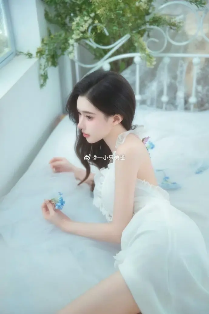 混沌与秩序可视化模型